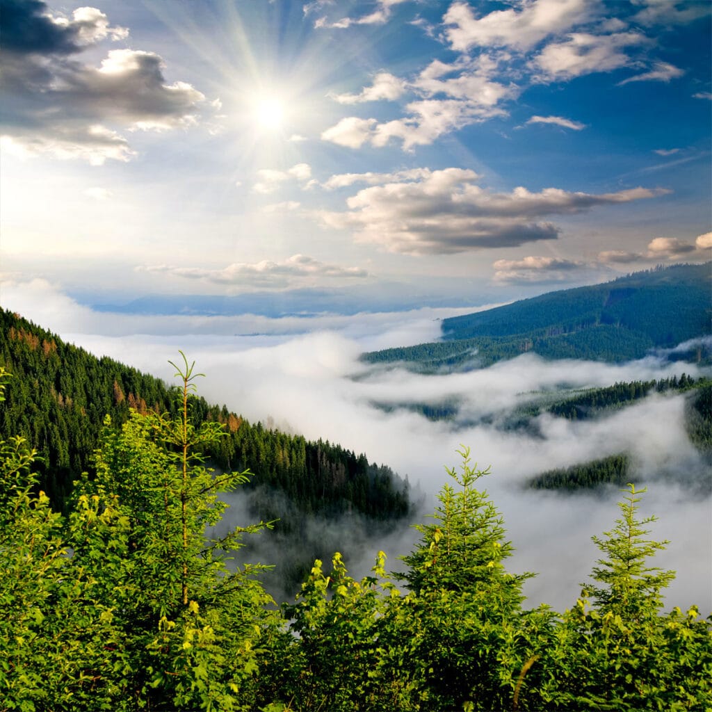Sustainabilty Commitment: Our Pledge