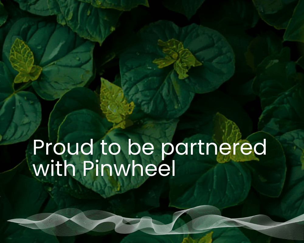 pinwheel for website (2)